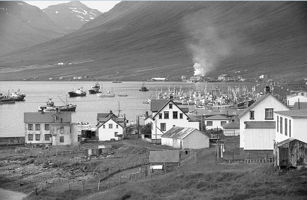 Á síldarárunum vaknaði áhugi fyrir húsbyggingum í Neskaupstað