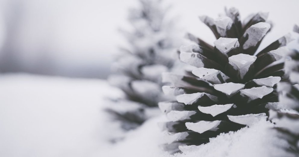 Opnunartími yfir hátíðirnar