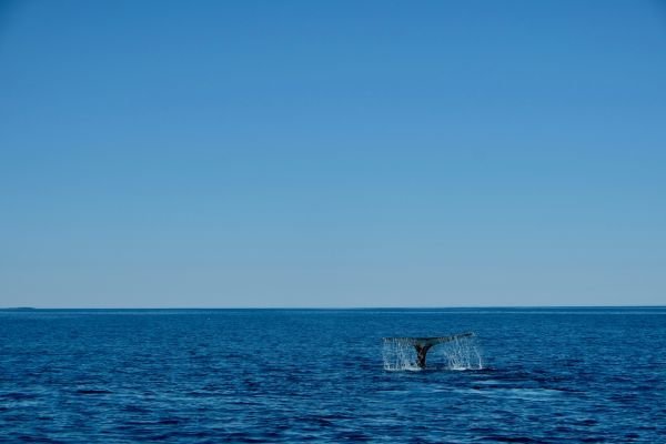 Við lengjum opnunartímann