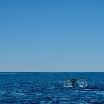 Við lengjum opnunartímann