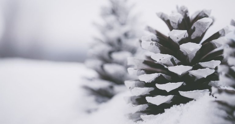 Opnunartími yfir hátíðirnar